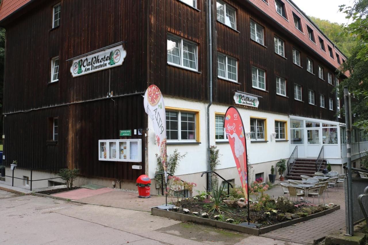 Waldhotel Harz Ильзенбург Экстерьер фото